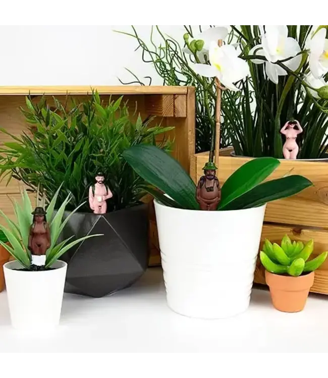 Mini Naked Ramblers: Nature’s Playful Pots