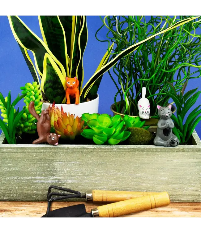 Zen Yoga Cats: Plant Markers