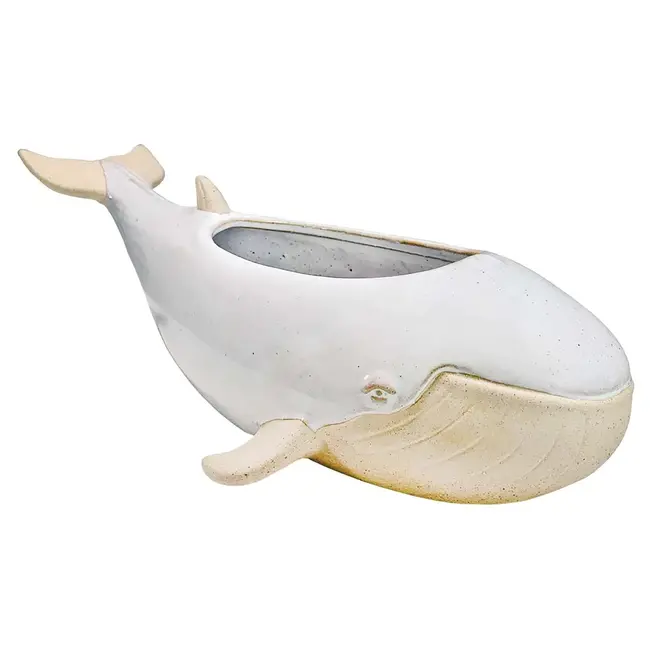 Whale, Hello There: The Sprouter Whale Planter!