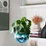 Blue Disco Planter: Groove in Style!