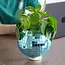 Blue Disco Planter: Groove in Style!