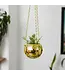 Gold Disco Planter: Small Pot, Big Sparkle!