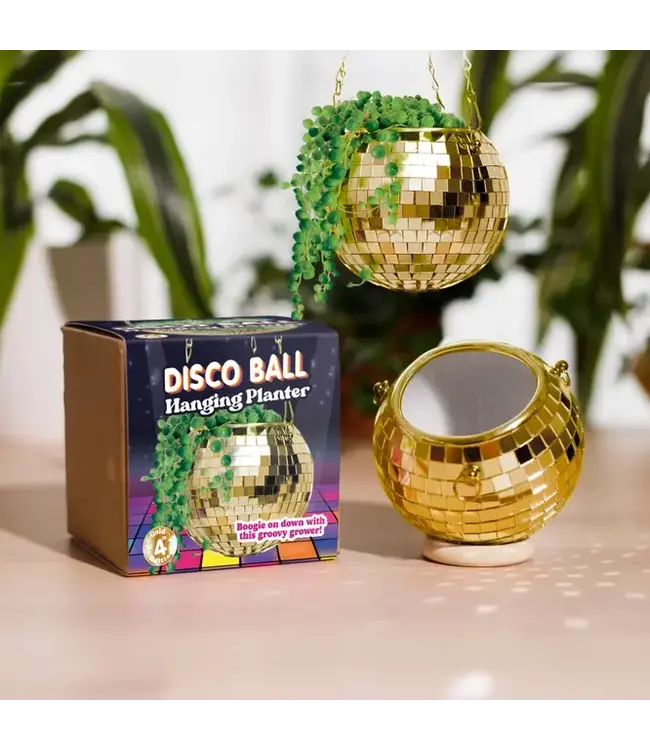 Gold Disco Planter: Small Pot, Big Sparkle!