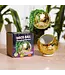 Gold Disco Planter: Small Pot, Big Sparkle!