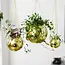 Gold Disco Planter: Small Pot, Big Sparkle!