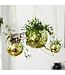 Gold Disco Planter: Small Pot, Big Sparkle!