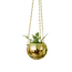 Gold Disco Planter: Small Pot, Big Sparkle!