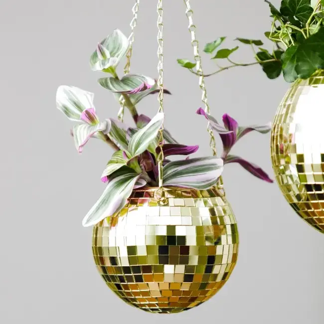 Gold Disco Planter: Shine On, Greenery!