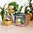 Gold Disco Planter: Shine On, Greenery!