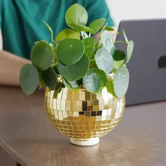 Bubblegum Stuff Disco Ball Hanging Planter - Gold (8in)
