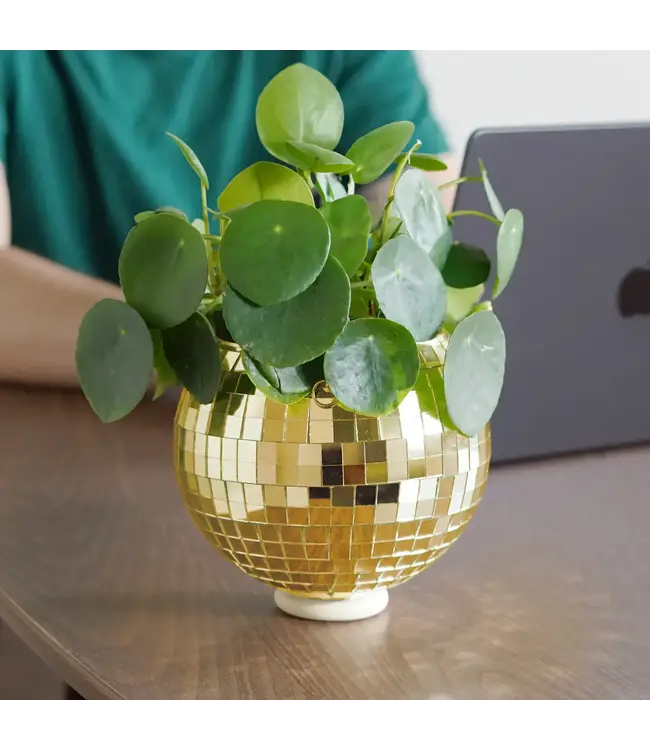Disco Delight: Gold Hanging Planter