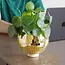 Disco Delight: Gold Hanging Planter