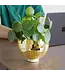 Disco Delight: Gold Hanging Planter