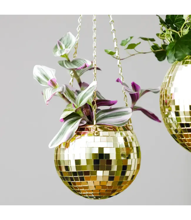 Disco Delight: Gold Hanging Planter