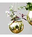 Disco Delight: Gold Hanging Planter