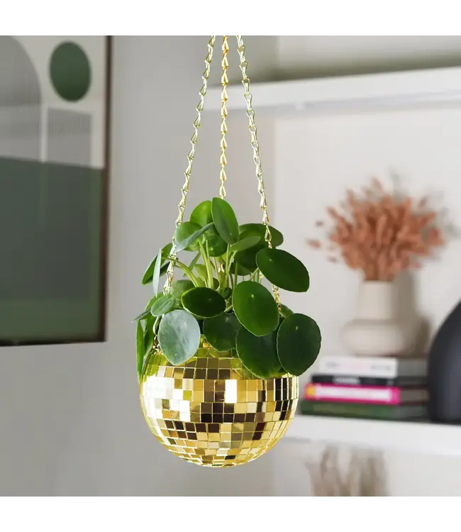 Disco Delight: Gold Hanging Planter