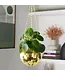 Disco Delight: Gold Hanging Planter