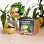 Disco Delight: Gold Hanging Planter