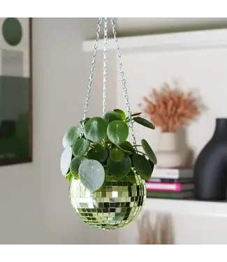 Bubblegum Stuff Disco Ball Hanging Planter - Green (6in)