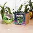 Green Disco Planter: Groove Up Your Garden!