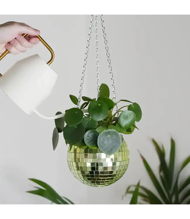 Green Disco Planter: Groove Up Your Garden!