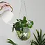 Green Disco Planter: Groove Up Your Garden!