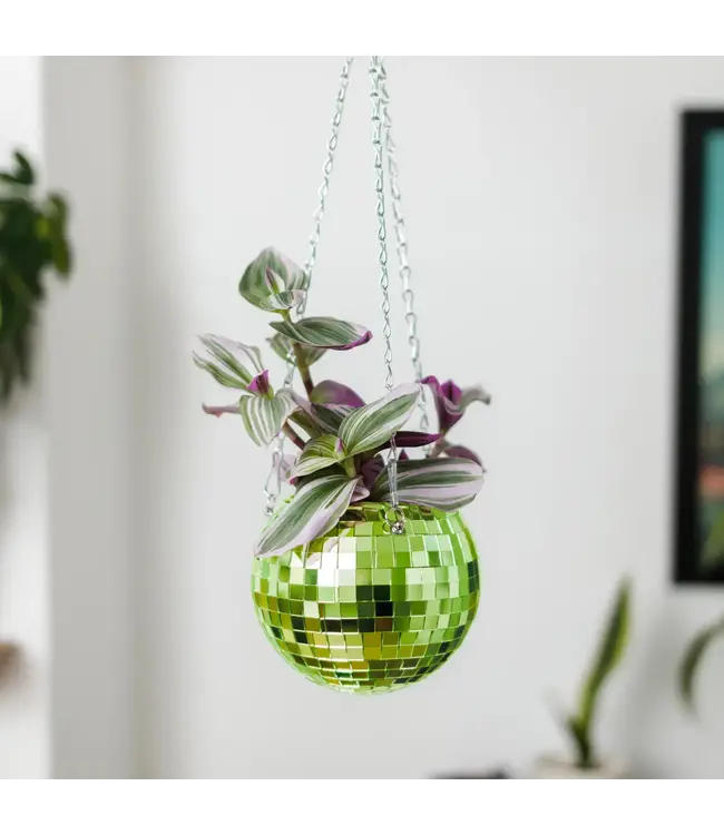 Green Disco Planter: Groove Up Your Garden!