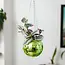 Green Disco Planter: Groove Up Your Garden!