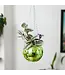 Green Disco Planter: Groove Up Your Garden!