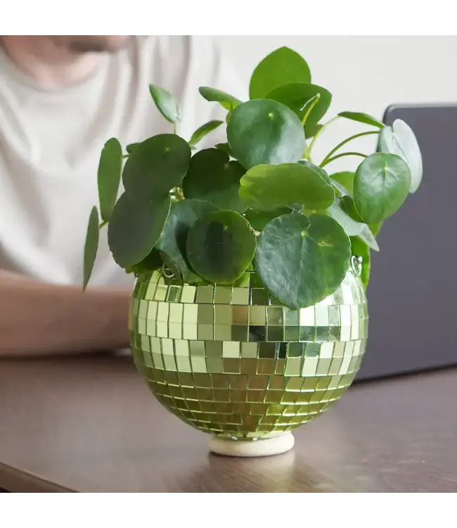 Green Disco Planter: Groove Up Your Garden!