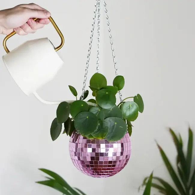 Pink Disco Planter: Glam Up Your Garden!