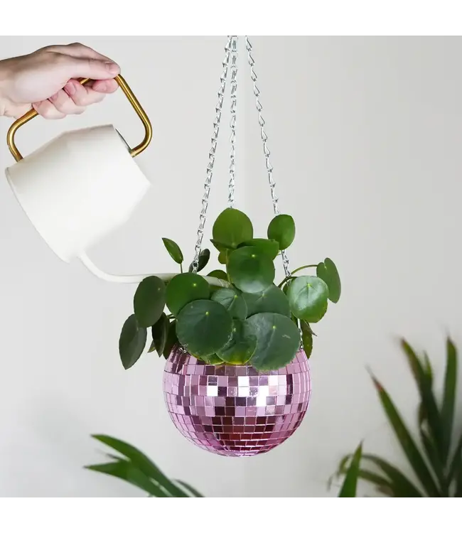 Pink Disco Planter: Glam Up Your Garden!