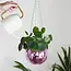 Pink Disco Planter: Glam Up Your Garden!