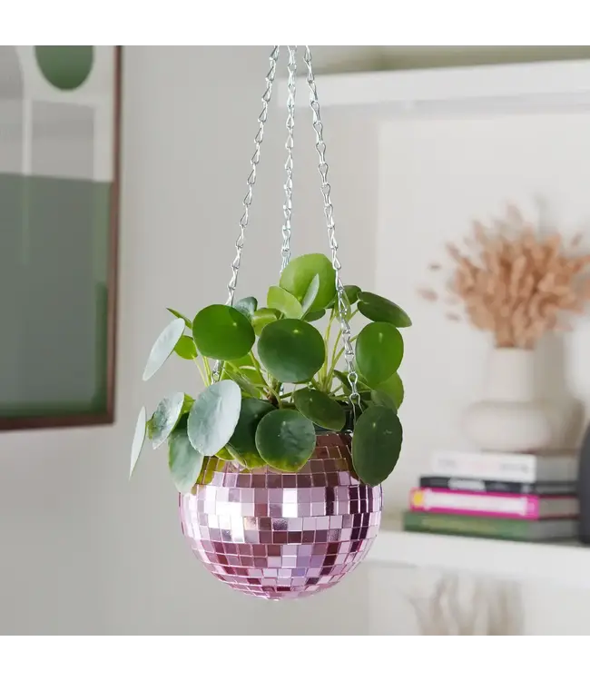 Pink Disco Planter: Glam Up Your Garden!