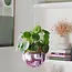 Pink Disco Planter: Glam Up Your Garden!
