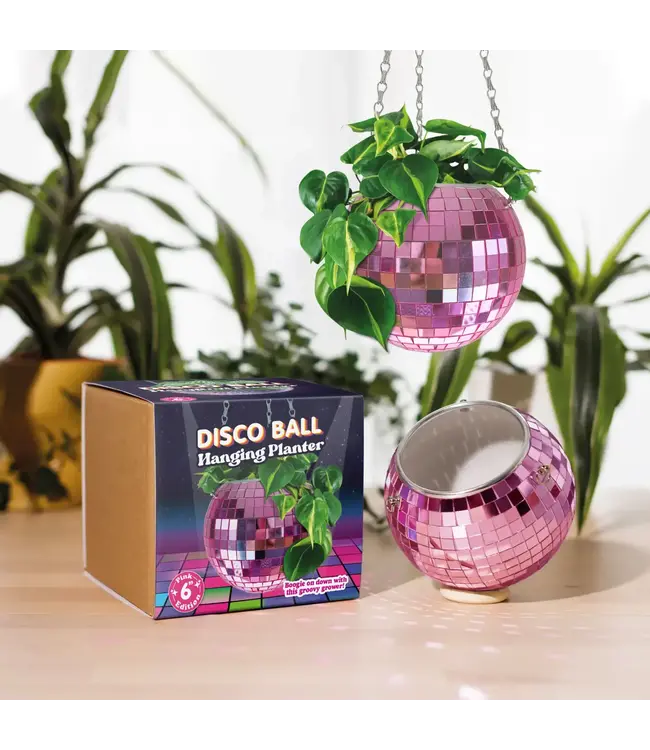 Pink Disco Planter: Glam Up Your Garden!
