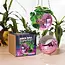 Pink Disco Planter: Glam Up Your Garden!