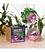 Pink Disco Planter: Glam Up Your Garden!