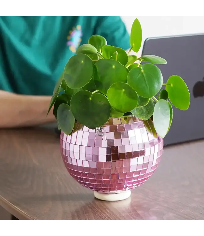 Pink Disco Planter: Glam Up Your Garden!