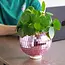 Pink Disco Planter: Glam Up Your Garden!