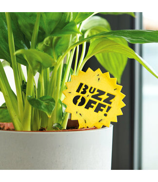 Bubblegum Stuff Fly Traffic Controllers Bubblegum Stuff Fly Traffic Controllers