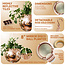 Disco Ball Hanging Planter - Rose Gold (8in)