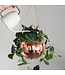 Disco Ball Hanging Planter - Rose Gold (8in)