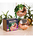 Disco Ball Hanging Planter - Rose Gold (8in)