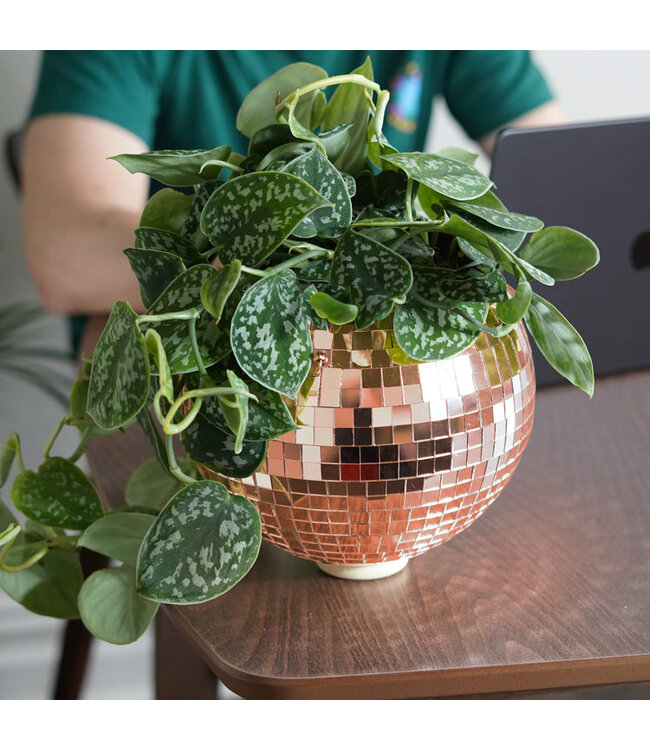 Disco Ball Hanging Planter - Rose Gold (8in)
