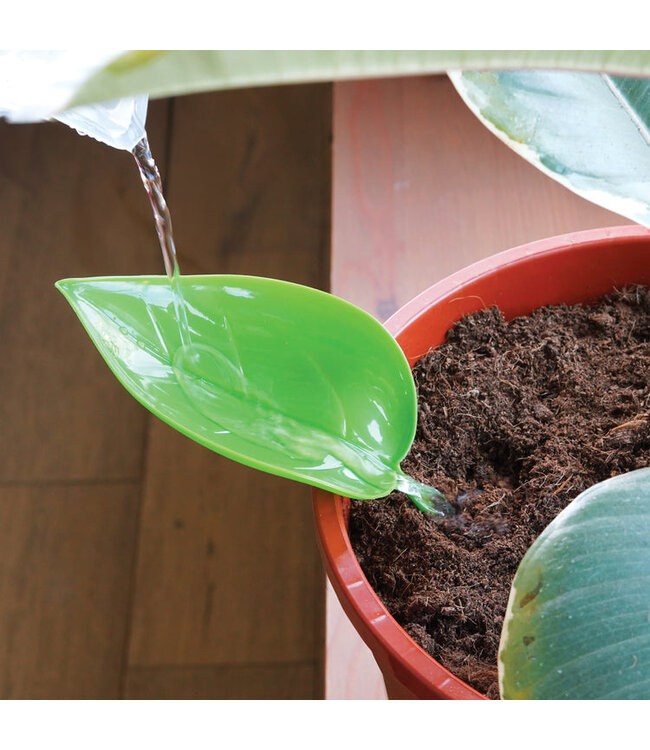 Leaf It to the Funnel: Perfect Plant Watering