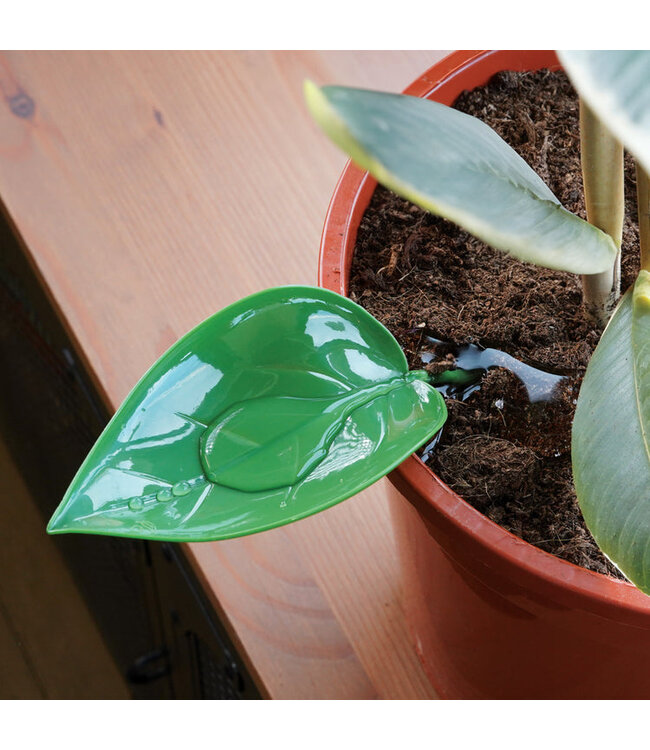 Leaf It to the Funnel: Perfect Plant Watering