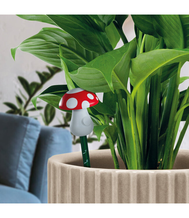 Mushroom Moisture Meter: Know When to Water!