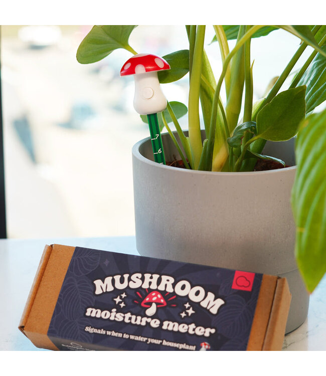 Mushroom Moisture Meter: Know When to Water!