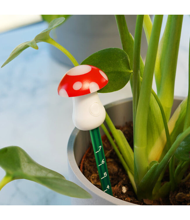 Mushroom Moisture Meter: Know When to Water!